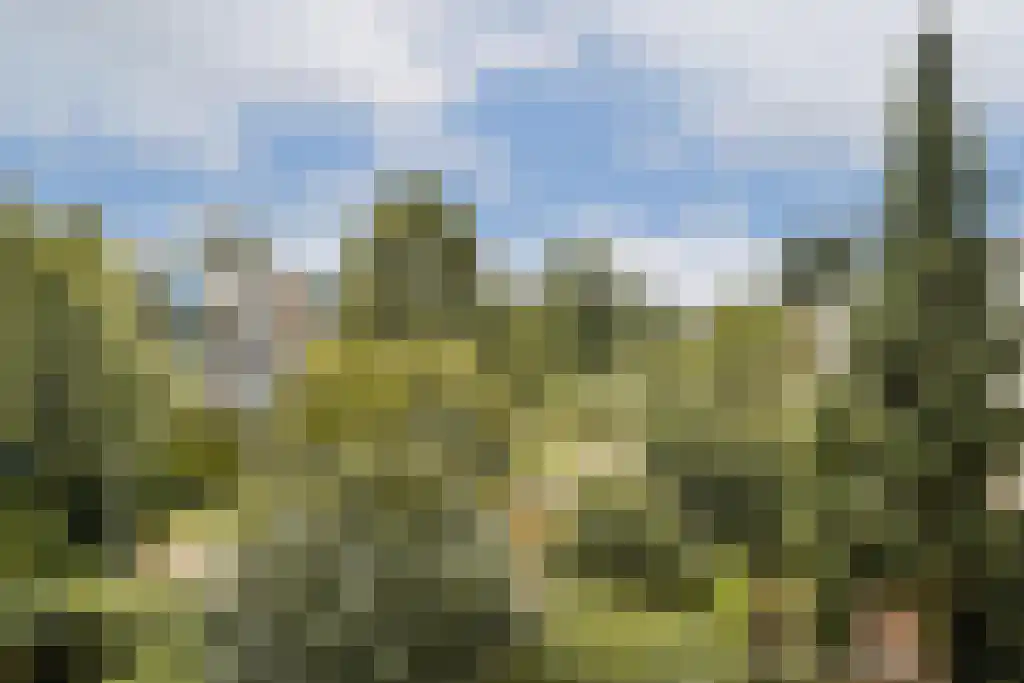 Schalkwijkpad 53 Amsterdam thumbnail 5