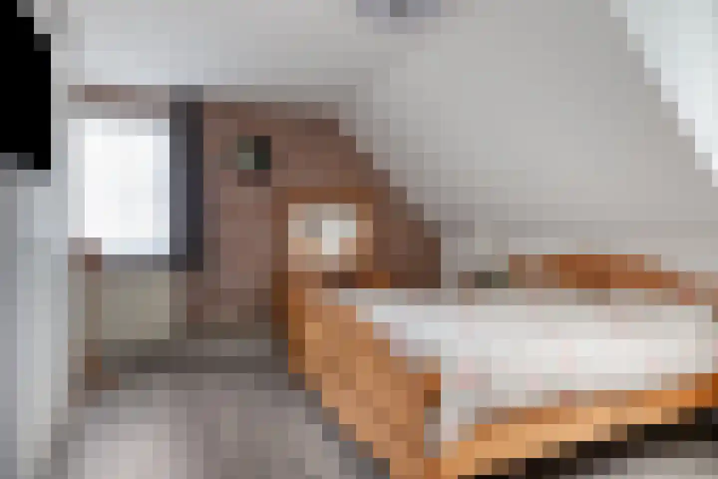 Schalluine 2 Reusel thumbnail 22