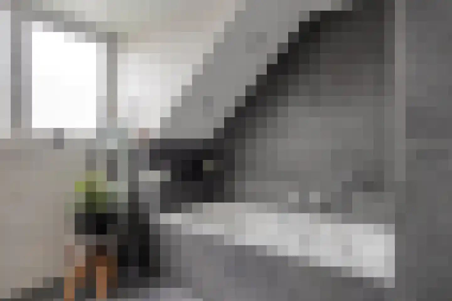 Schalluine 2 Reusel thumbnail 31