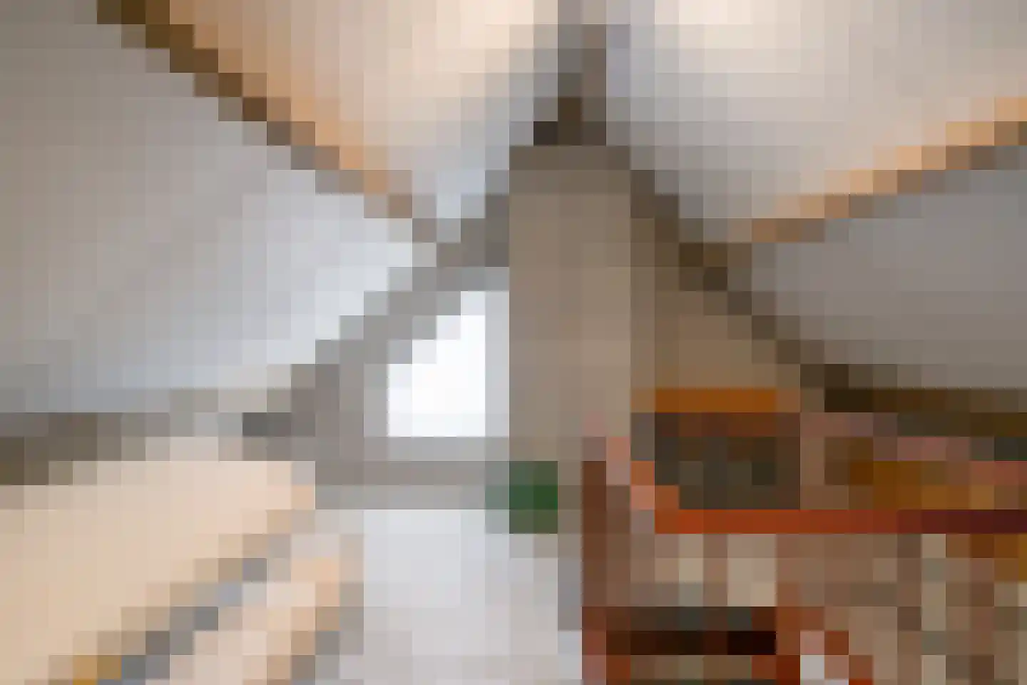 Schalluine 2 Reusel thumbnail 35