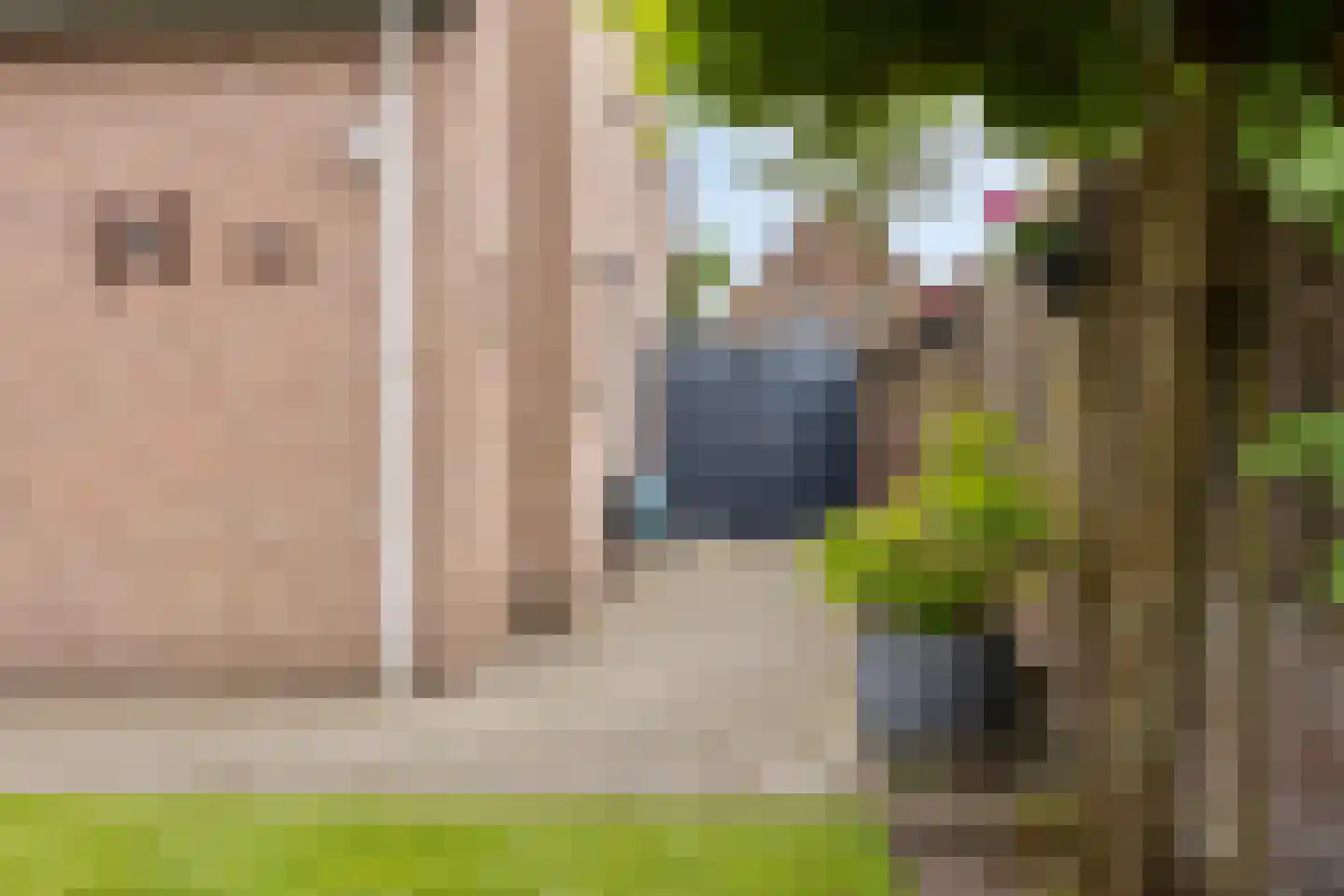 Schalluine 2 Reusel thumbnail 42