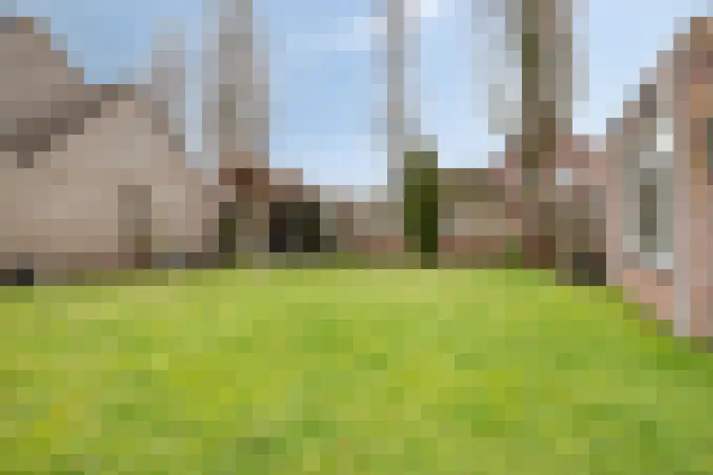 Schalluine 2 Reusel thumbnail 45