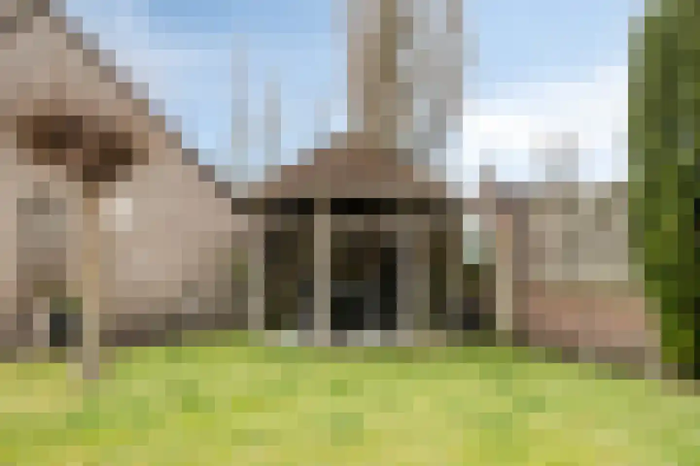 Schalluine 2 Reusel thumbnail 46
