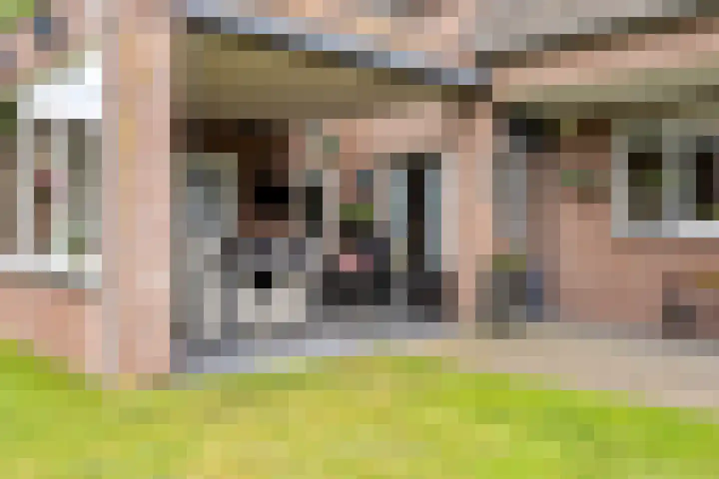 Schalluine 2 Reusel thumbnail 48