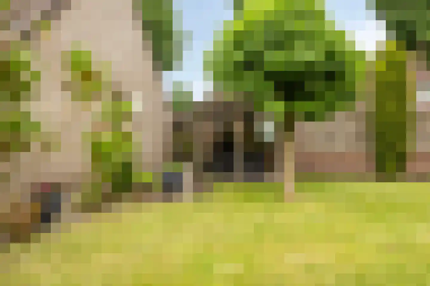 Schalluine 2 Reusel thumbnail 50