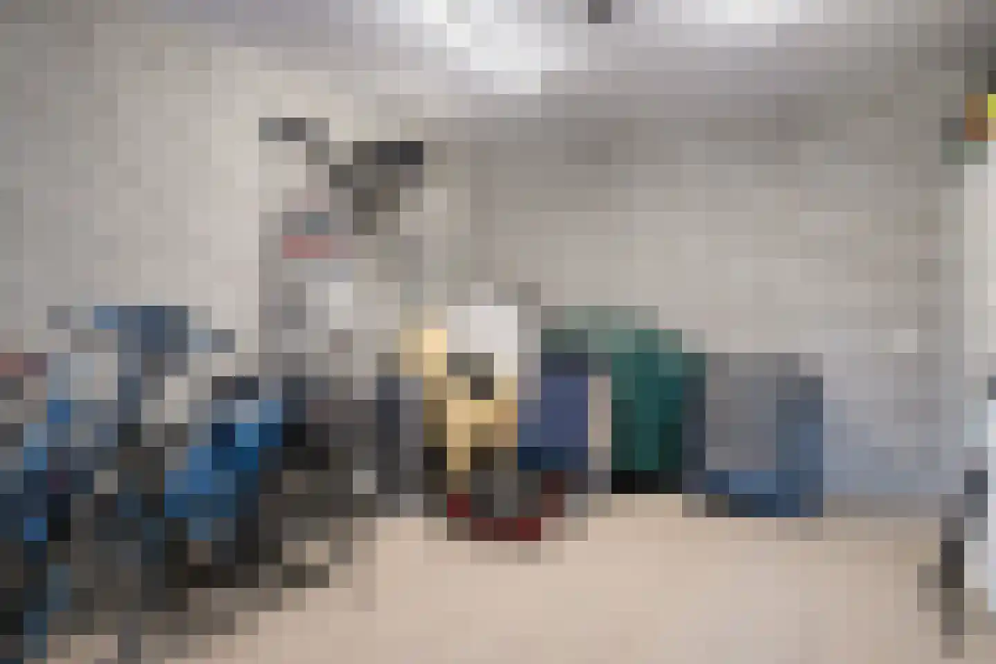 Schalluine 2 Reusel thumbnail 51