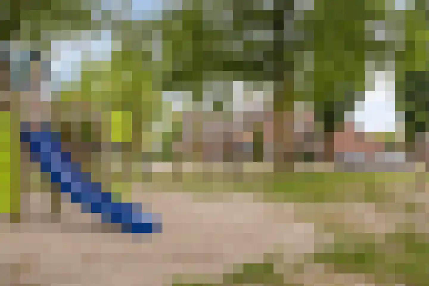 Schalluine 2 Reusel thumbnail 54