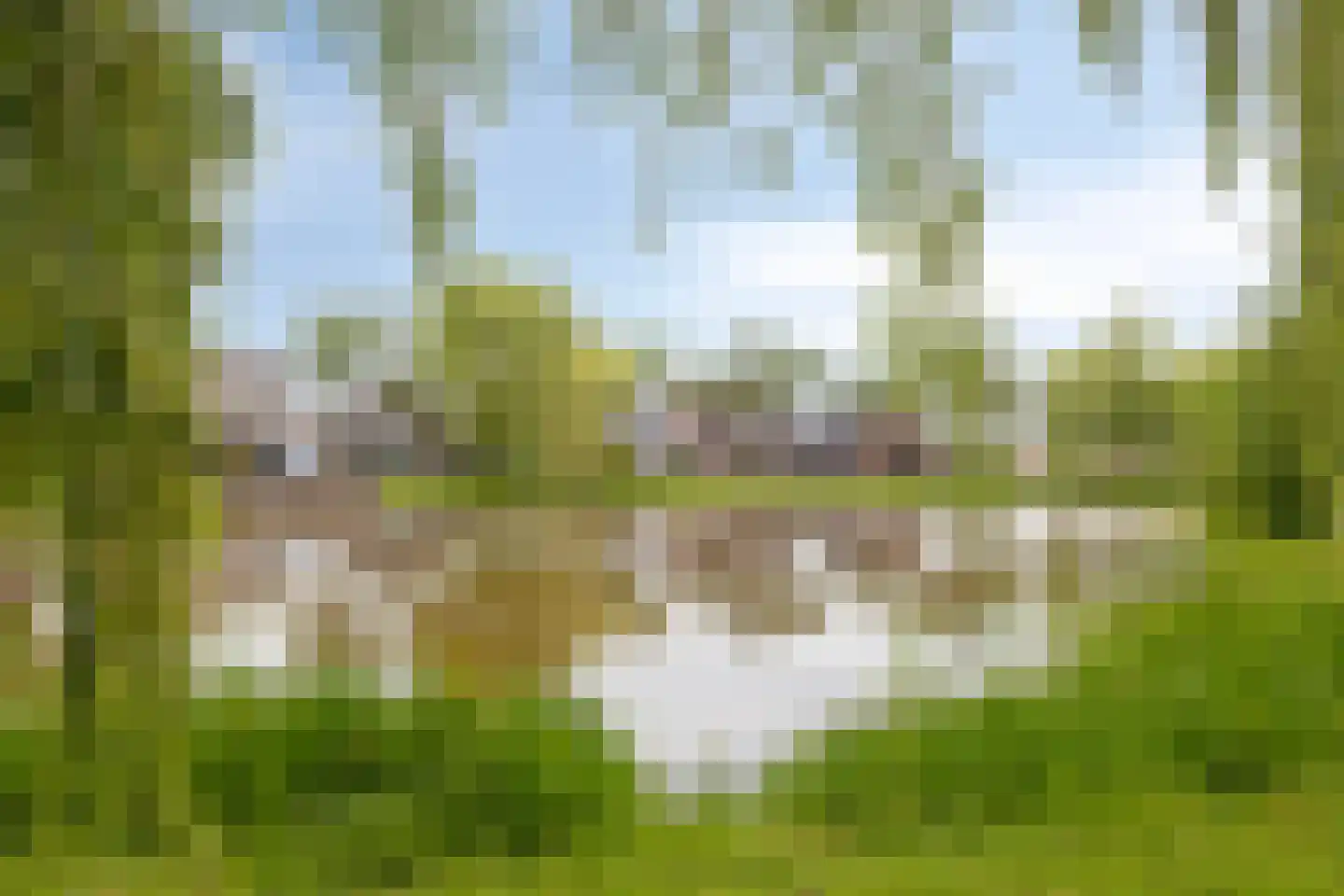 Schalluine 2 Reusel thumbnail 56