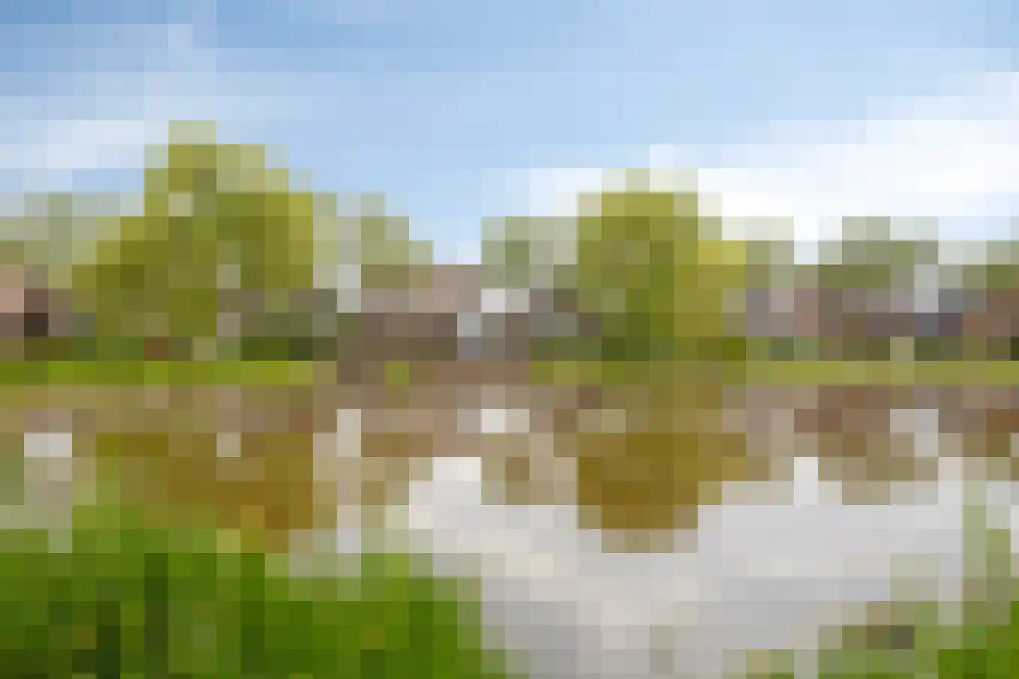 Schalluine 2 Reusel thumbnail 57