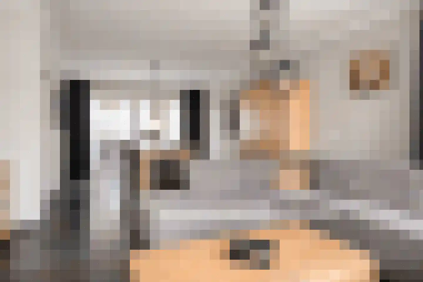 Schalluine 2 Reusel thumbnail 7