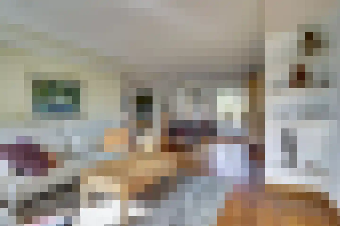 Schalluine 4 Reusel thumbnail 10