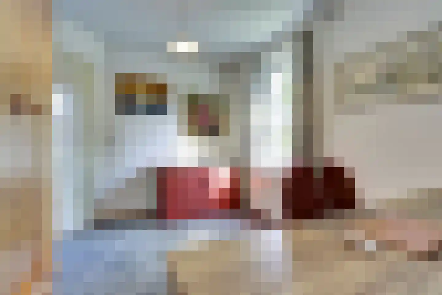 Schalluine 4 Reusel thumbnail 27