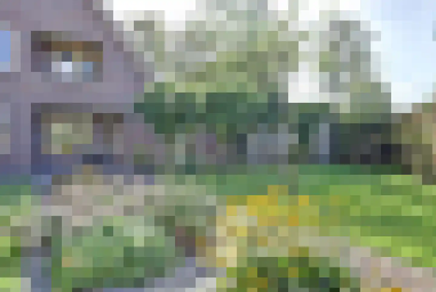 Schalluine 4 Reusel thumbnail 40