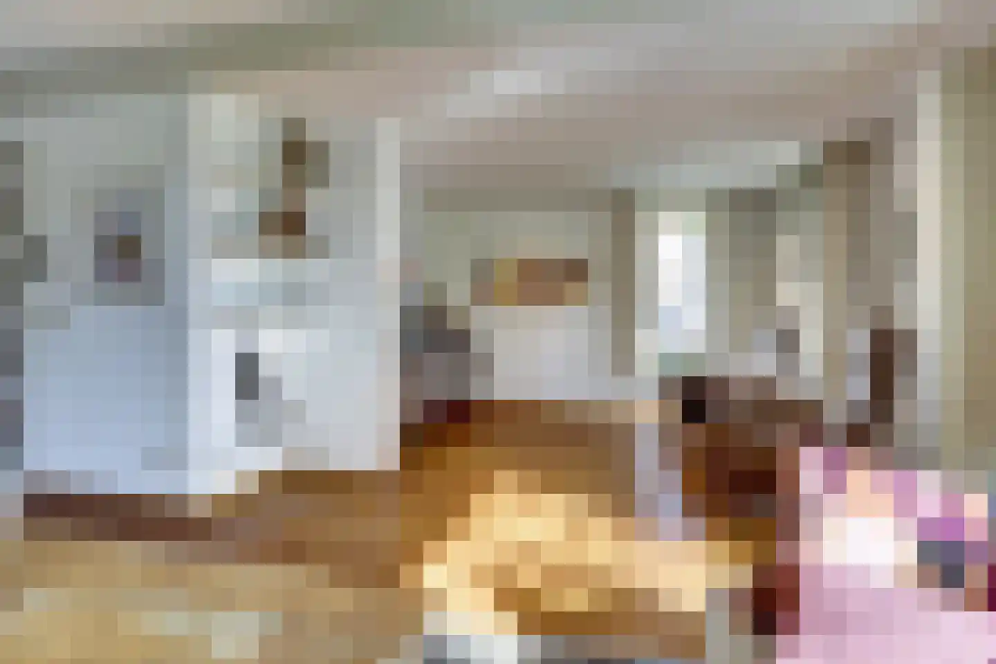 Schalluine 4 Reusel thumbnail 8