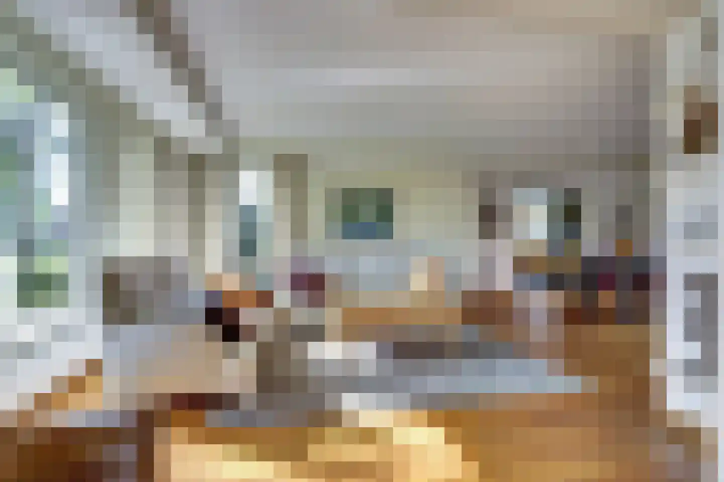 Schalluine 4 Reusel thumbnail 9