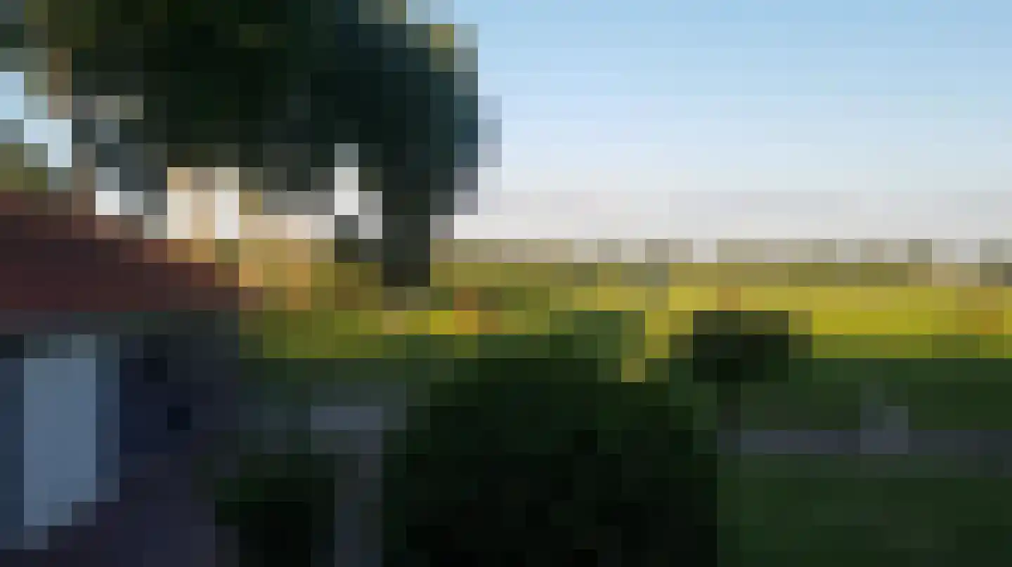 Schalm 5 a Renswoude thumbnail 10