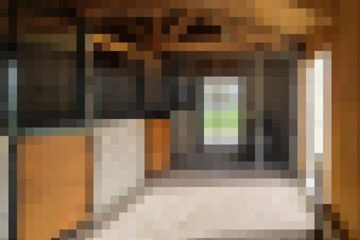 Schalm 5 a Renswoude thumbnail 11
