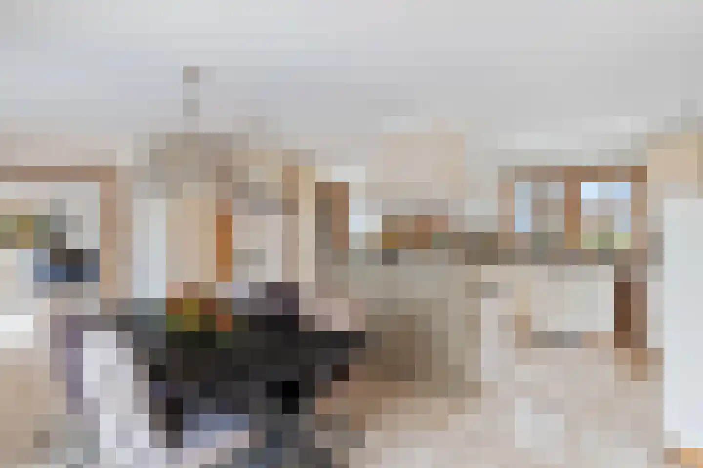 Schalm 5 a Renswoude thumbnail 17