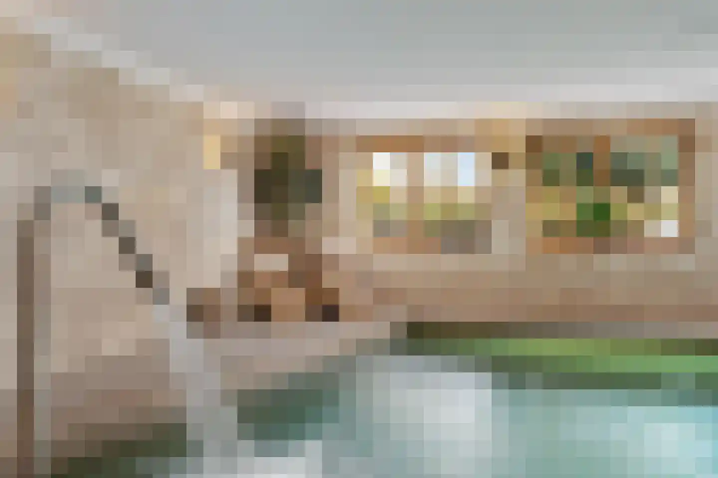 Schalm 5 a Renswoude thumbnail 19