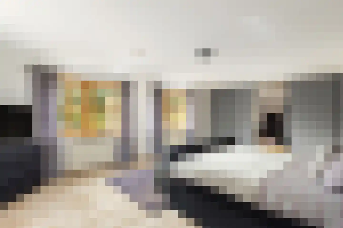 Schalm 5 a Renswoude thumbnail 24