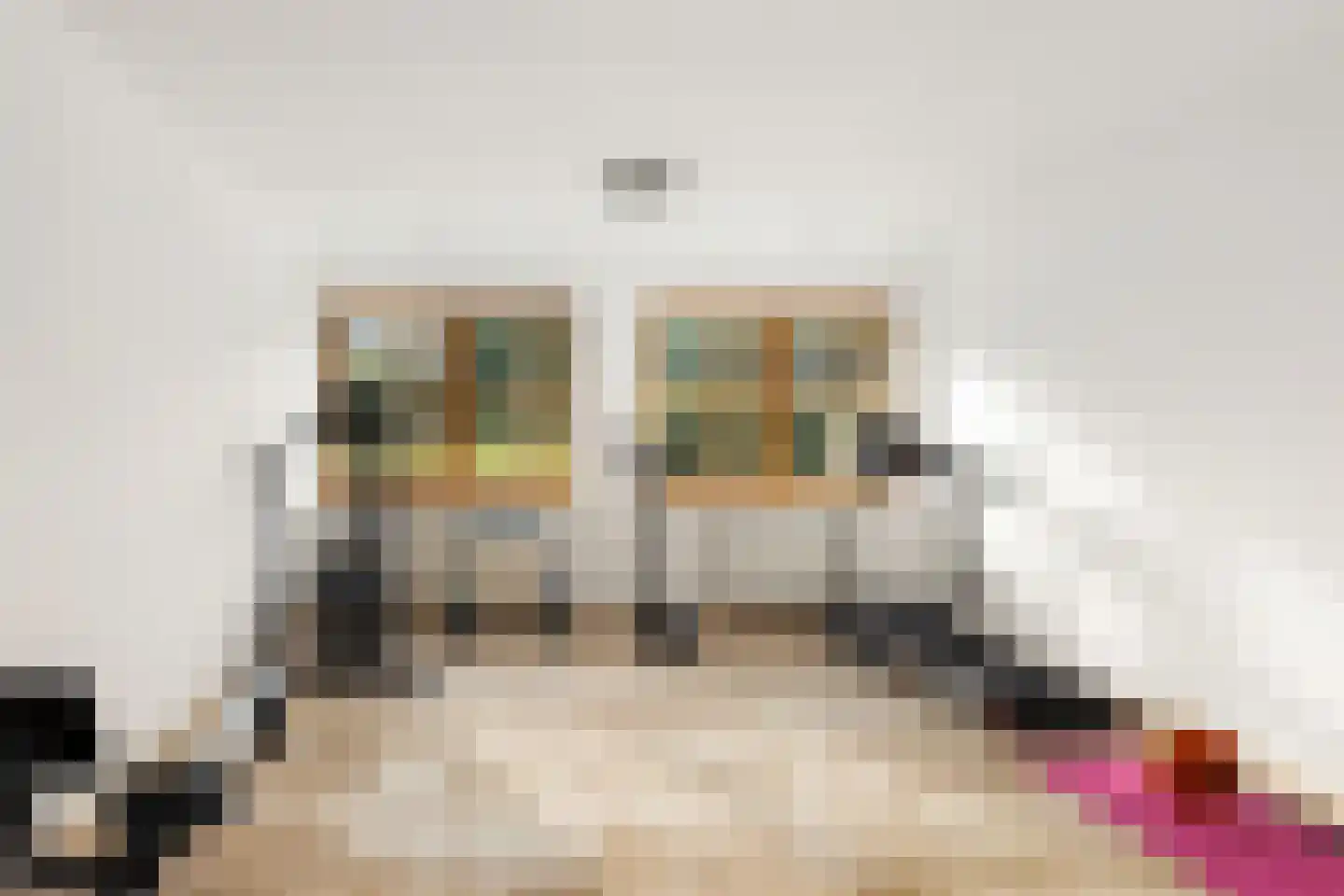 Schalm 5 a Renswoude thumbnail 25
