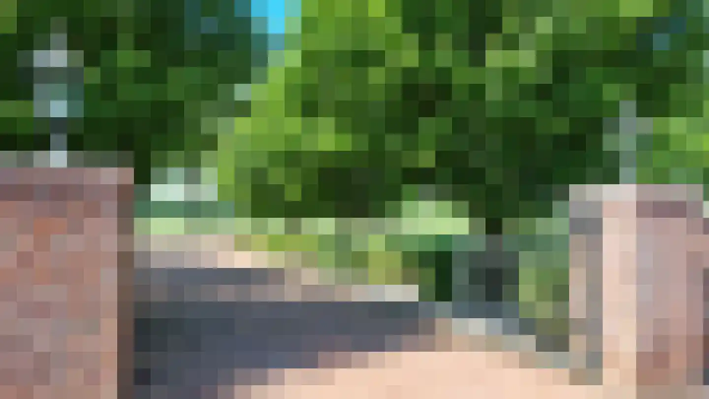 Schalm 5 a Renswoude thumbnail 29