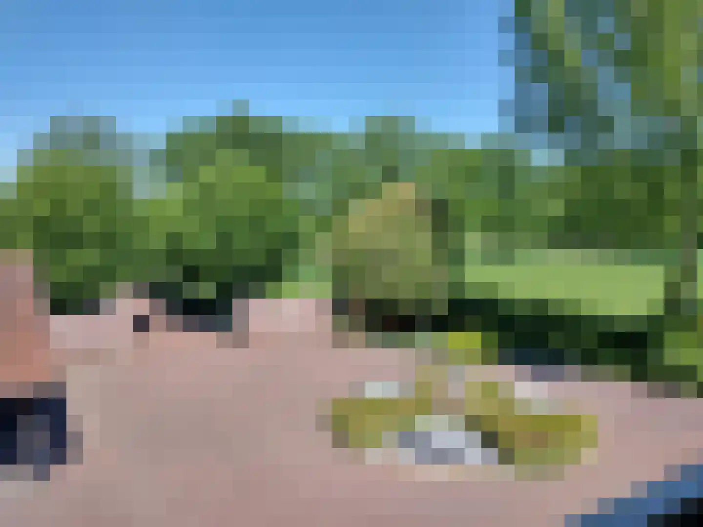 Schalm 5 a Renswoude thumbnail 32