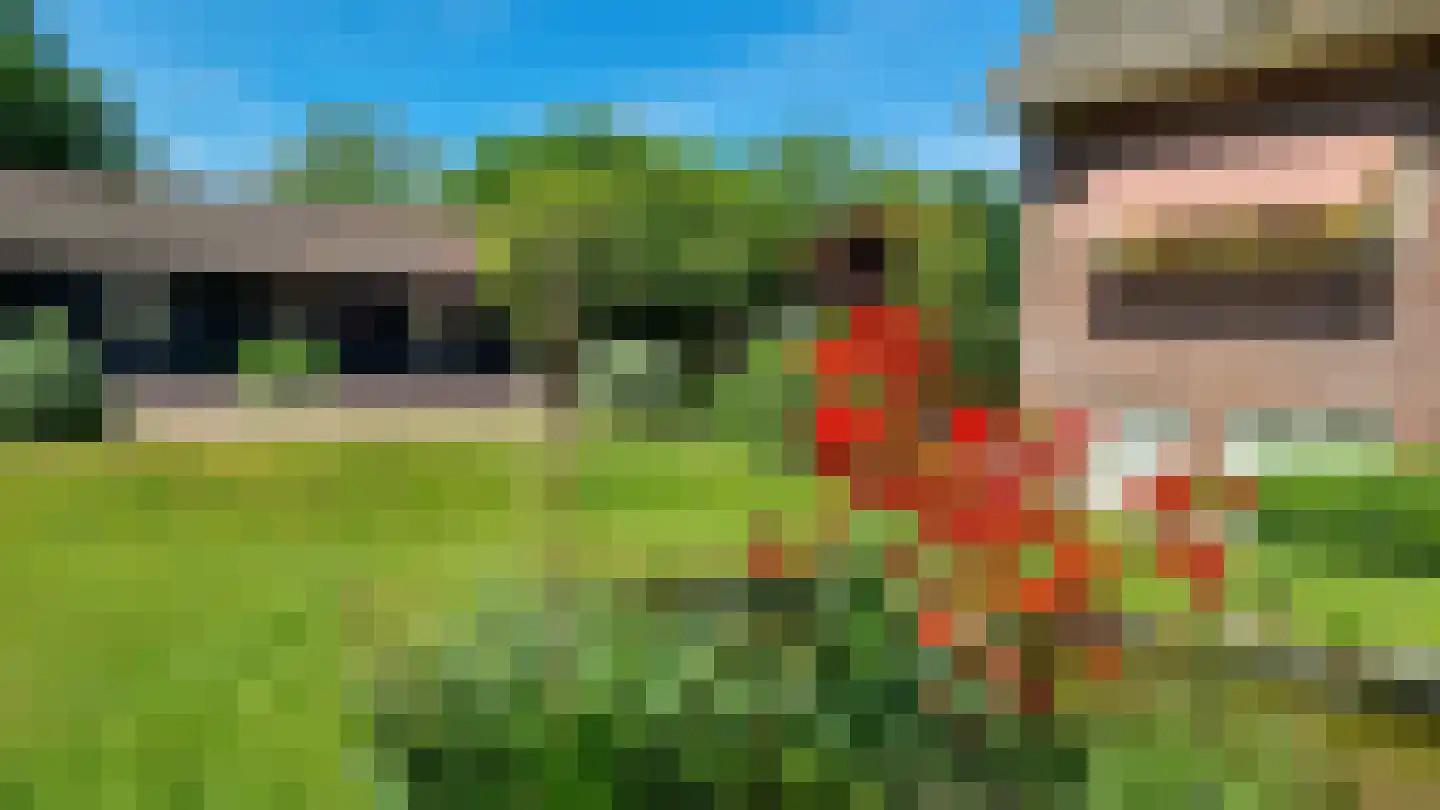 Schalm 5 a Renswoude thumbnail 34