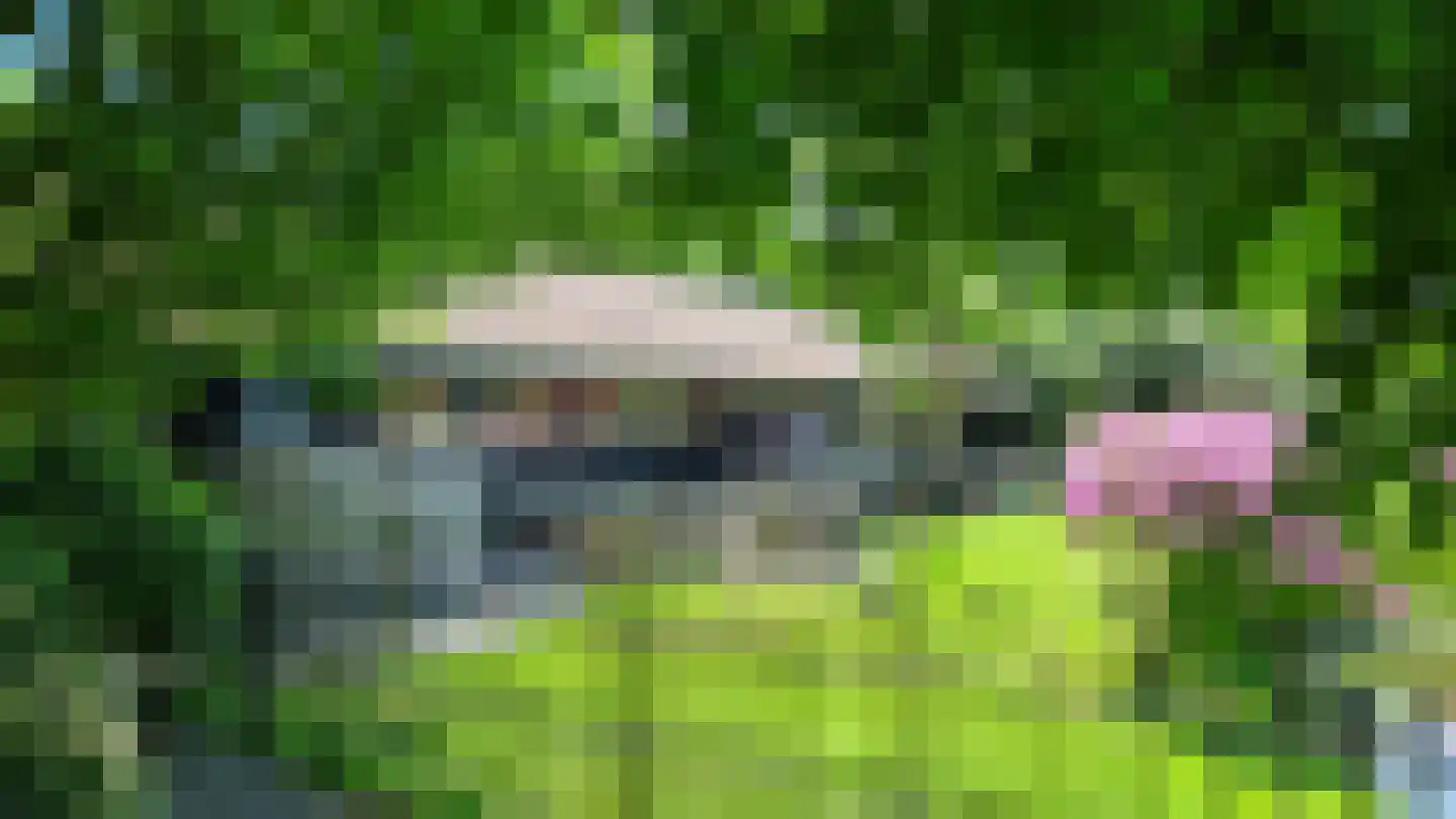 Schalm 5 a Renswoude thumbnail 36