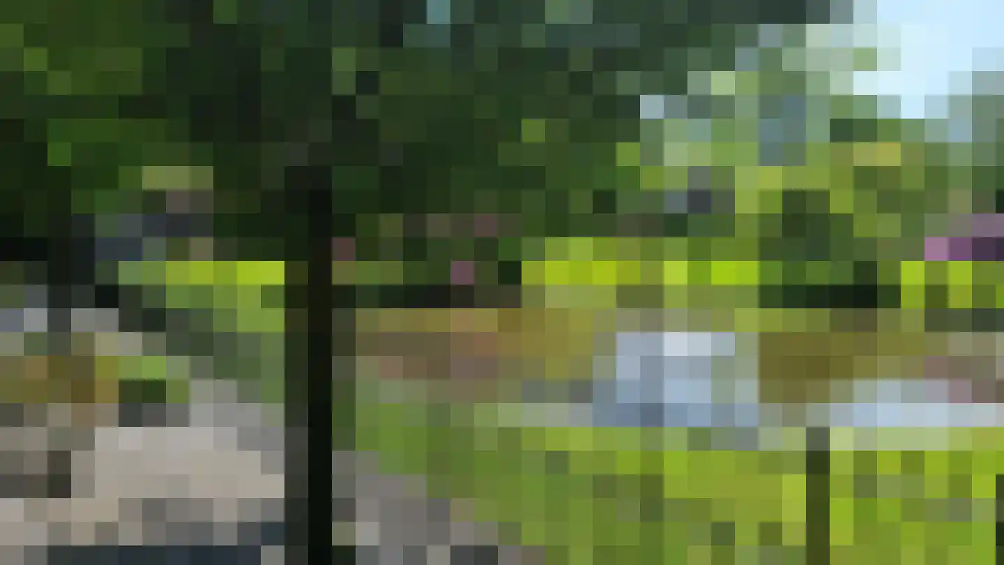 Schalm 5 a Renswoude thumbnail 38