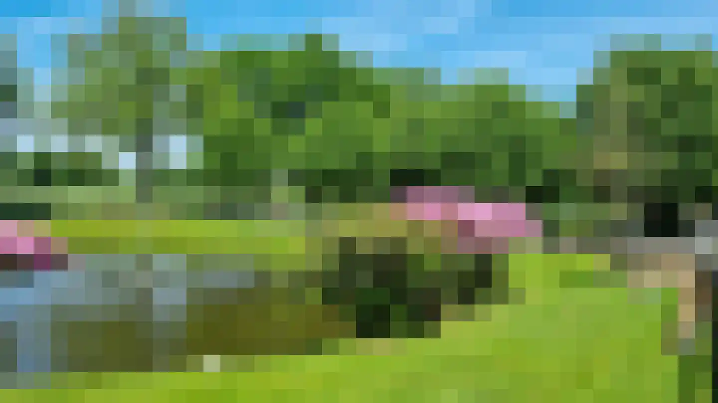 Schalm 5 a Renswoude thumbnail 40