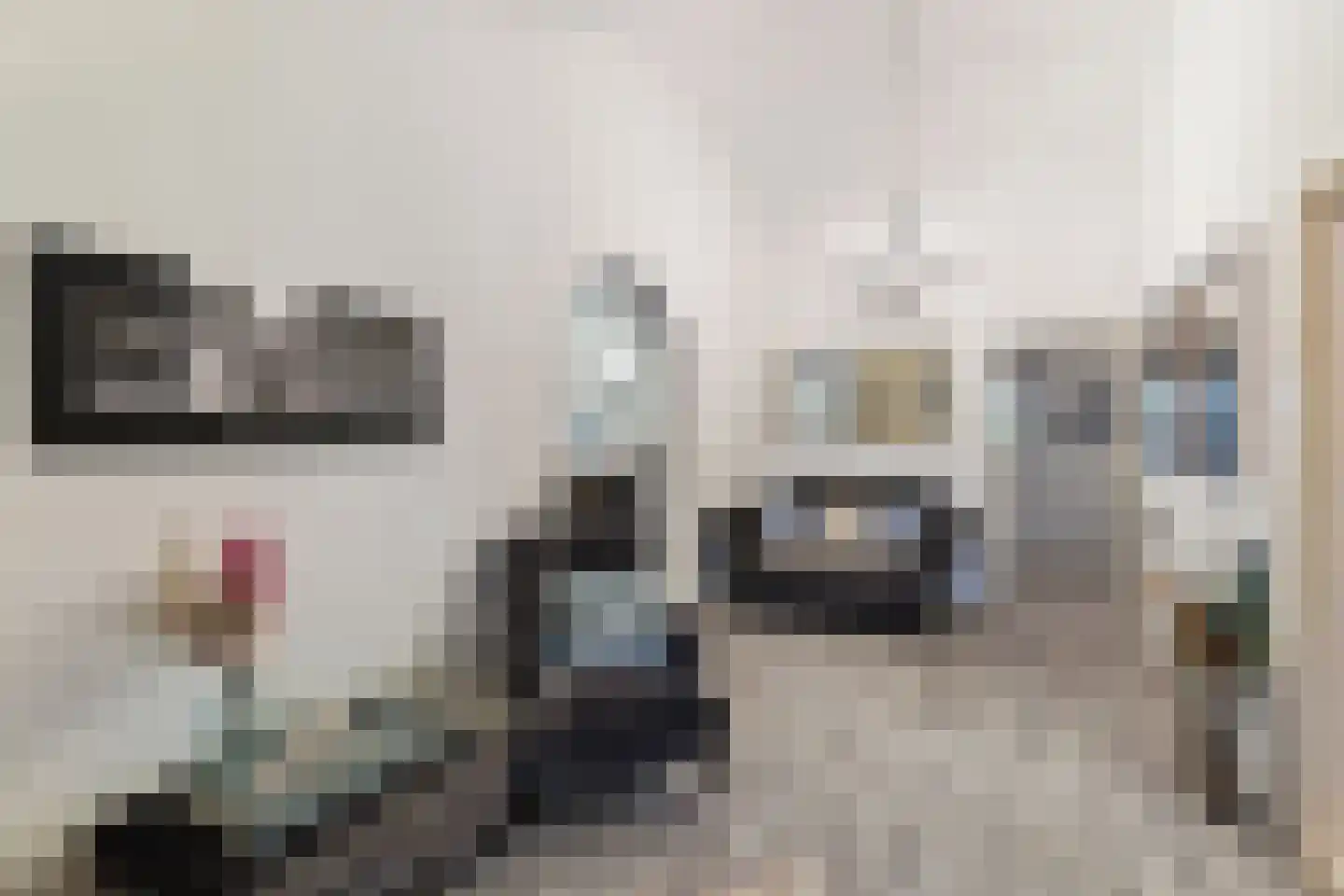 Schalm 5 a Renswoude thumbnail 42