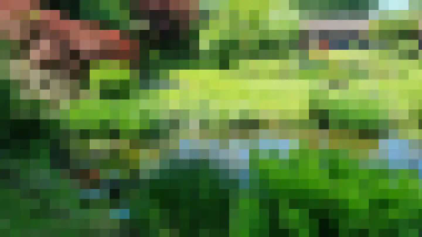 Schalm 5 a Renswoude thumbnail 43