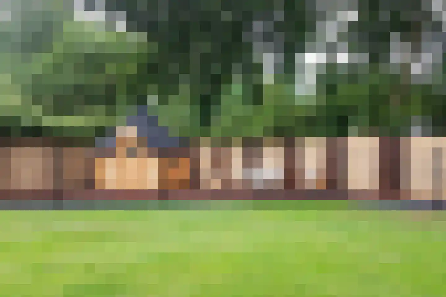 Schalm 5 a Renswoude thumbnail 44