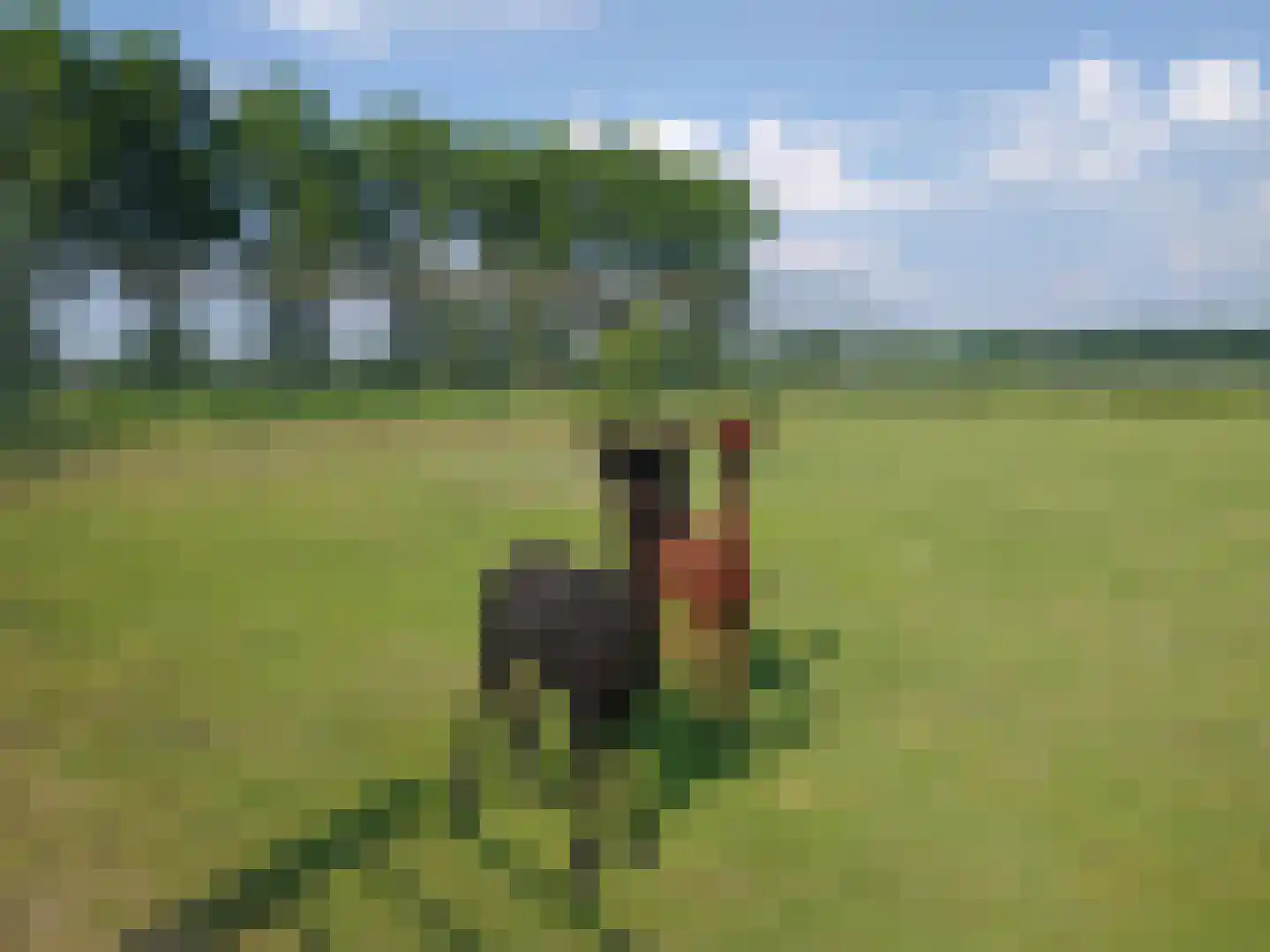 Schalm 5 a Renswoude thumbnail 46