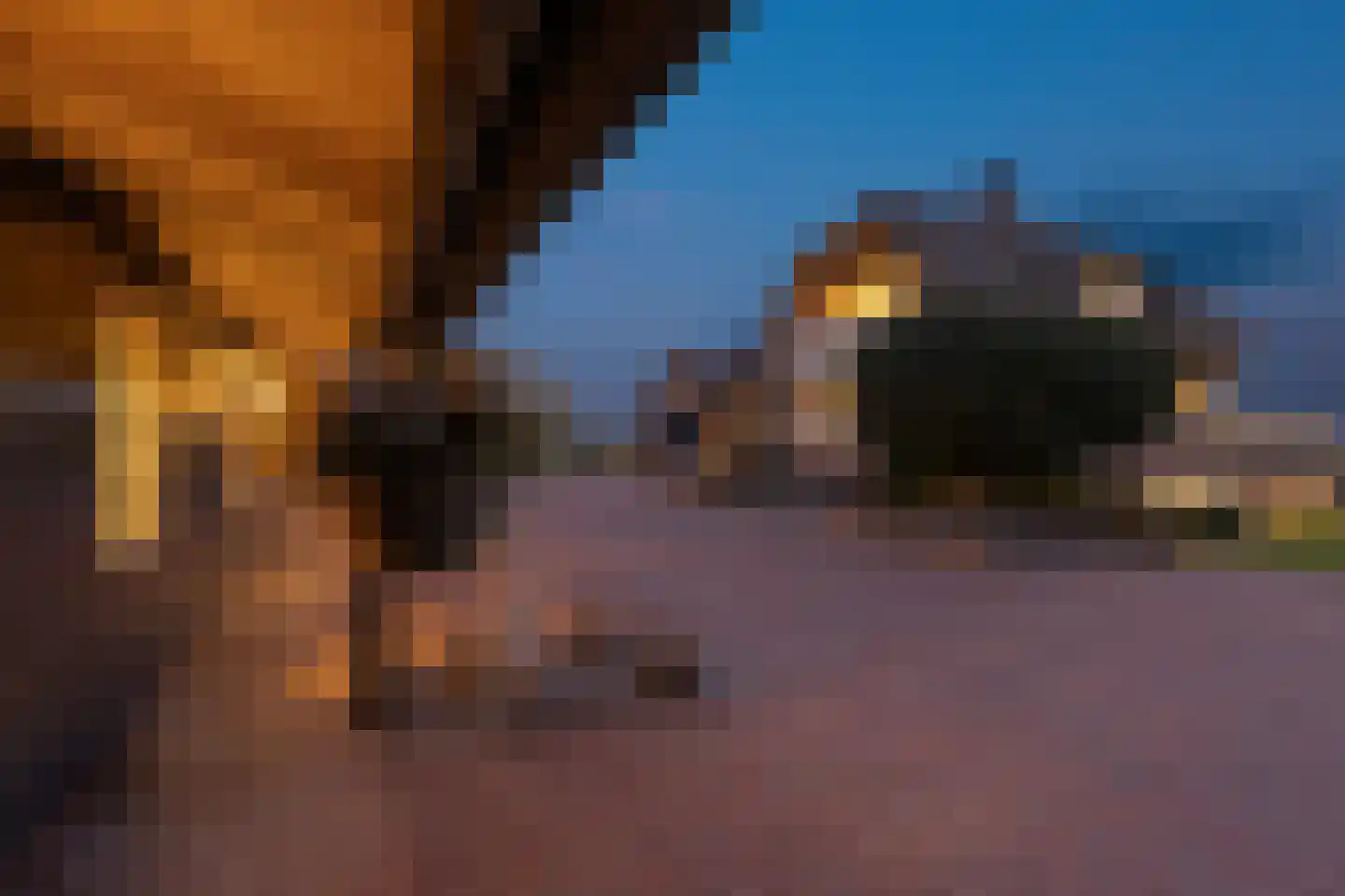 Schalm 5 a Renswoude thumbnail 6