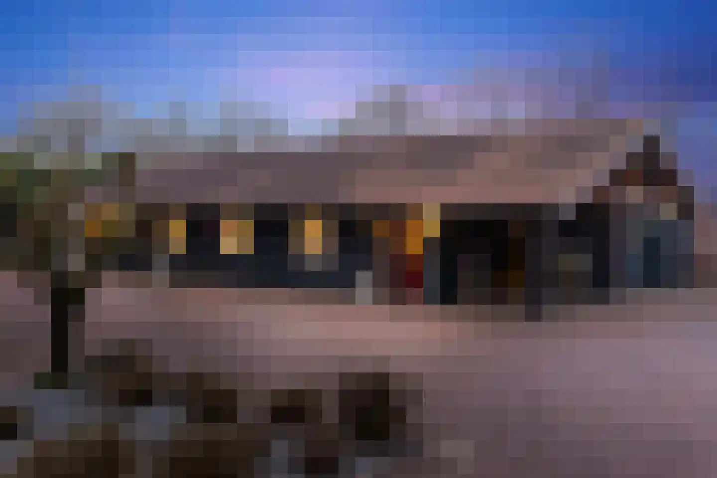Schalm 5 a Renswoude thumbnail 7