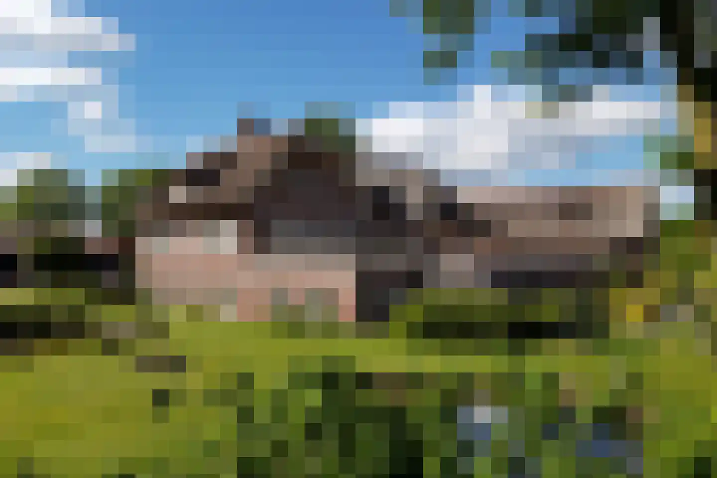 Schalm 5 a Renswoude thumbnail 8
