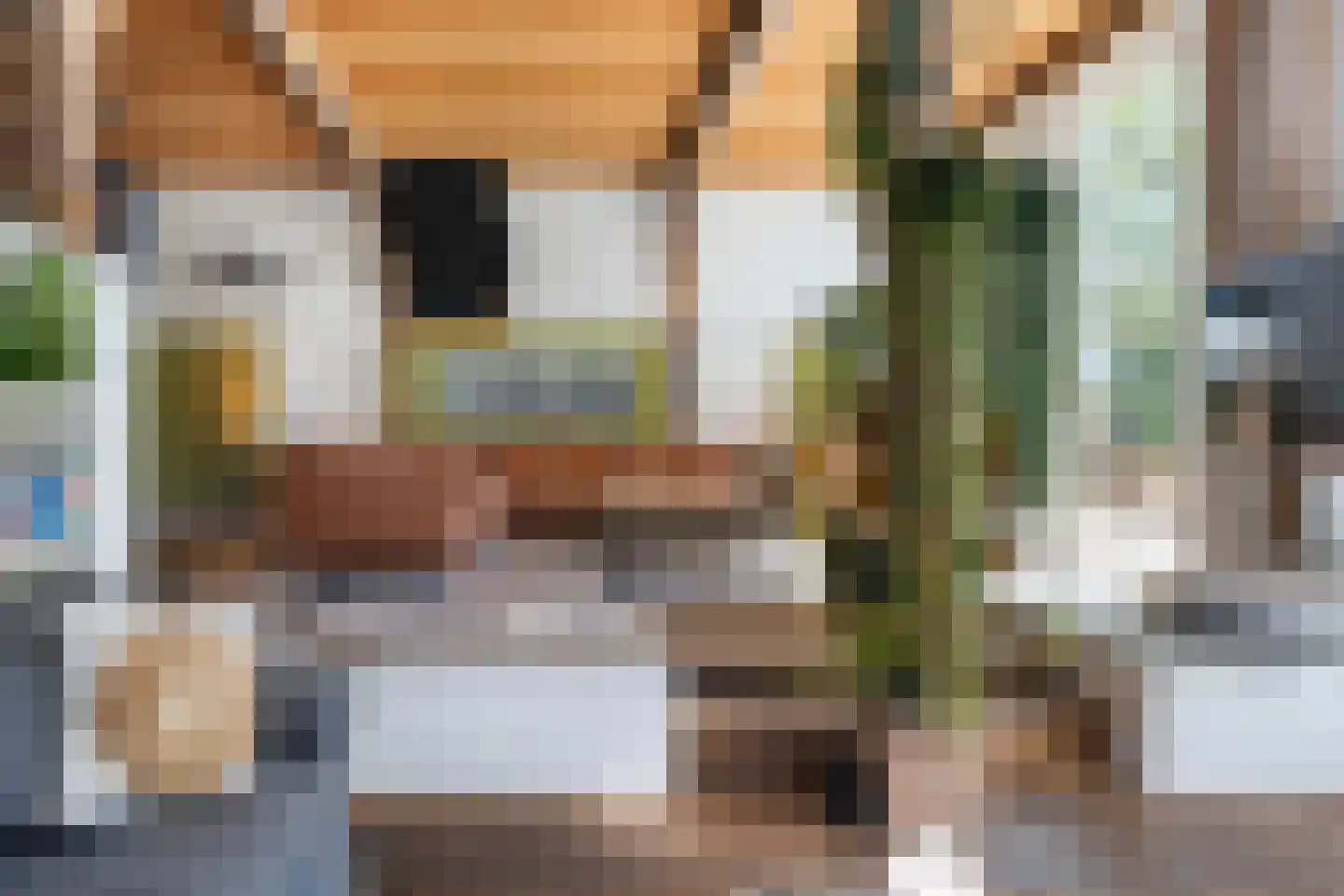 Schalmedenweg 17 Hengelo thumbnail 12
