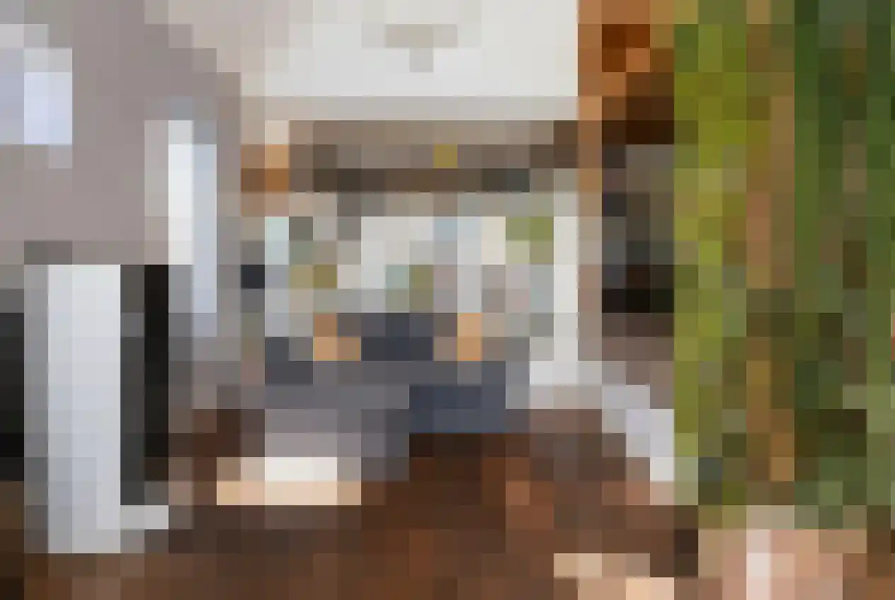 Schalmedenweg 17 Hengelo thumbnail 13