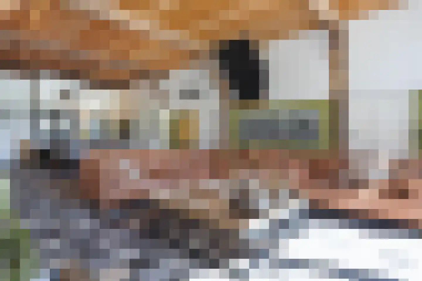 Schalmedenweg 17 Hengelo thumbnail 14
