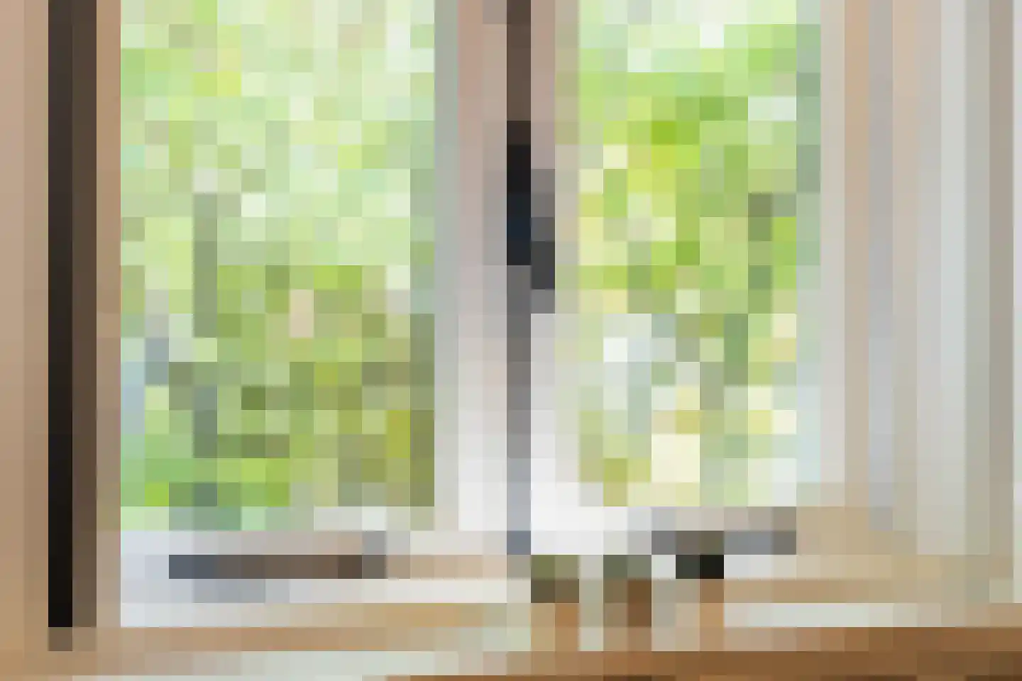 Schalmedenweg 17 Hengelo thumbnail 26