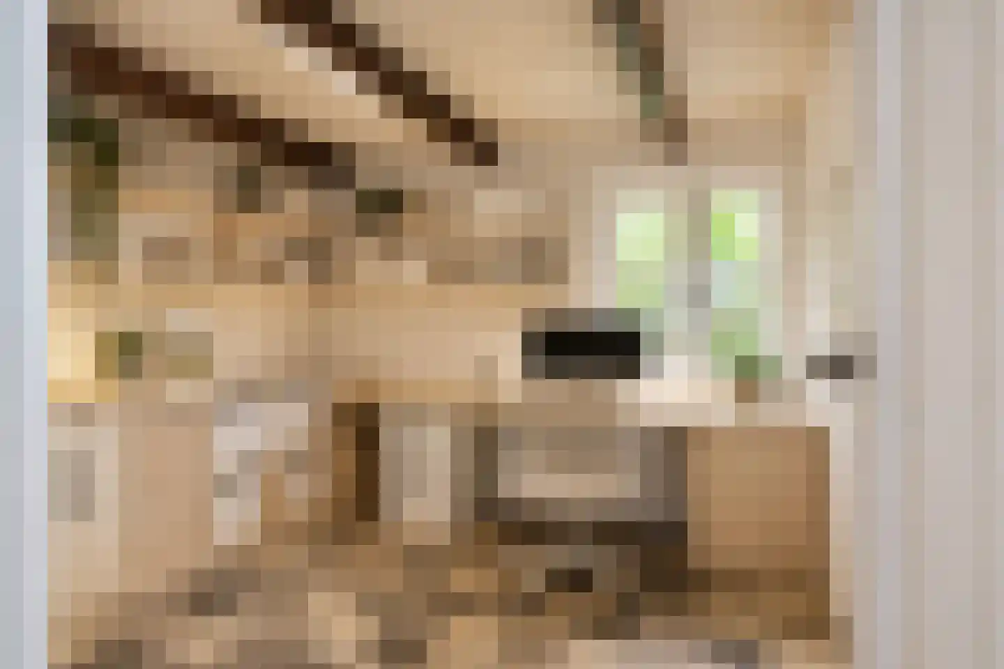 Schalmedenweg 17 Hengelo thumbnail 28