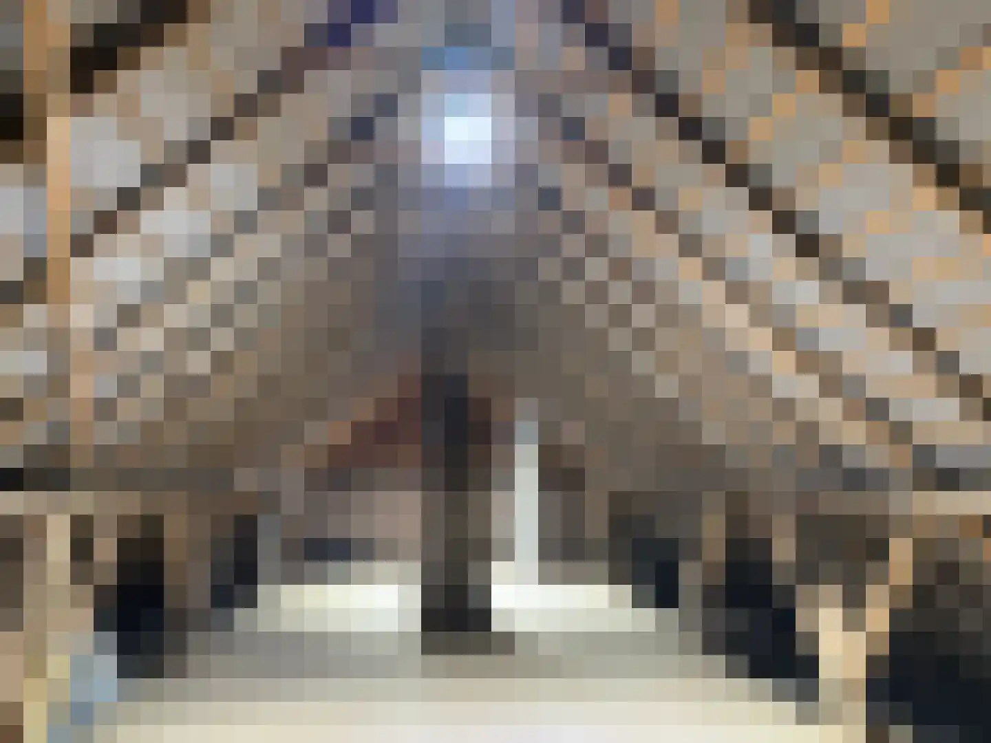 Schalmedenweg 17 Hengelo thumbnail 33
