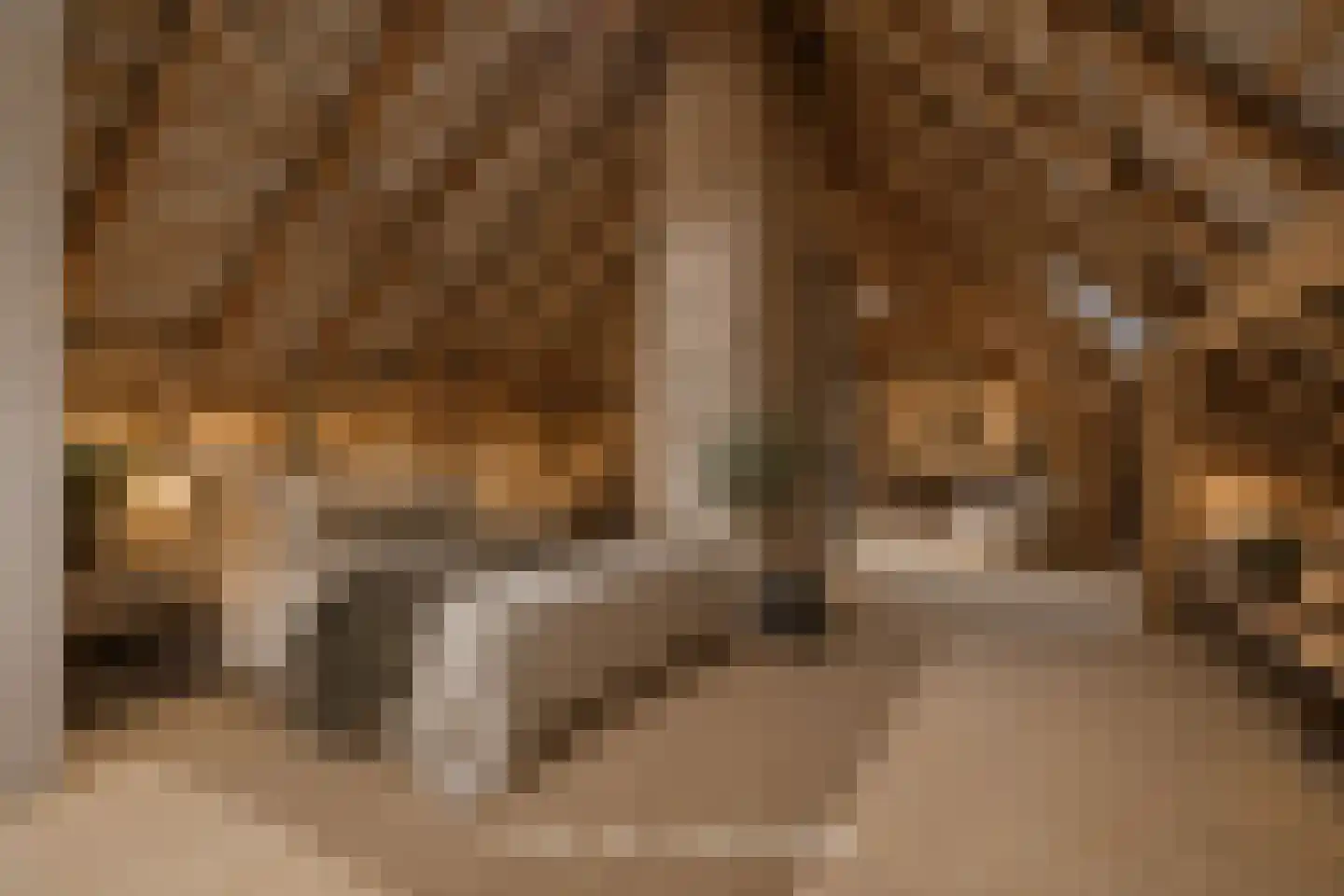Schalmedenweg 17 Hengelo thumbnail 34