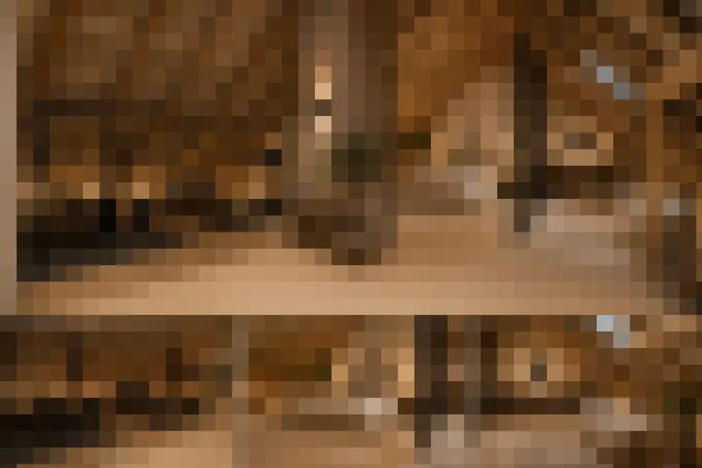Schalmedenweg 17 Hengelo thumbnail 35