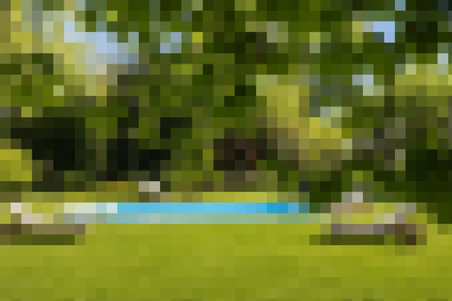 Schalmedenweg 17 Hengelo thumbnail 39