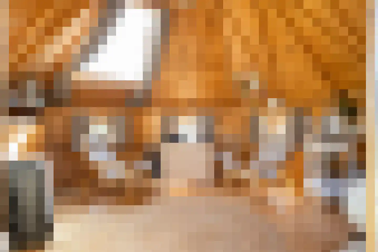 Schalmedenweg 17 Hengelo thumbnail 41