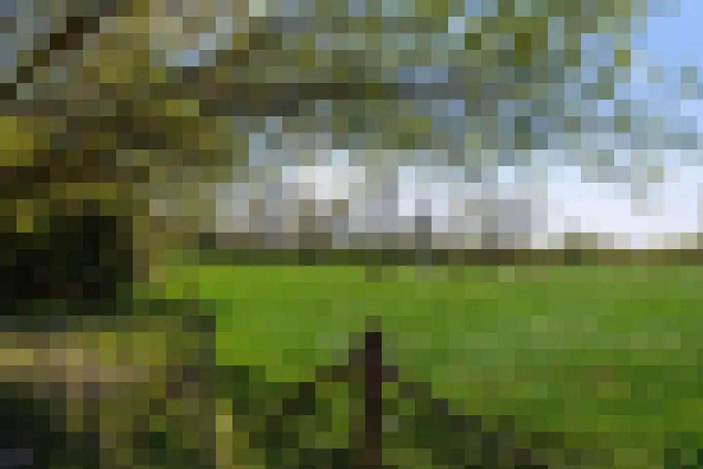 Schalmedenweg 17 Hengelo thumbnail 53