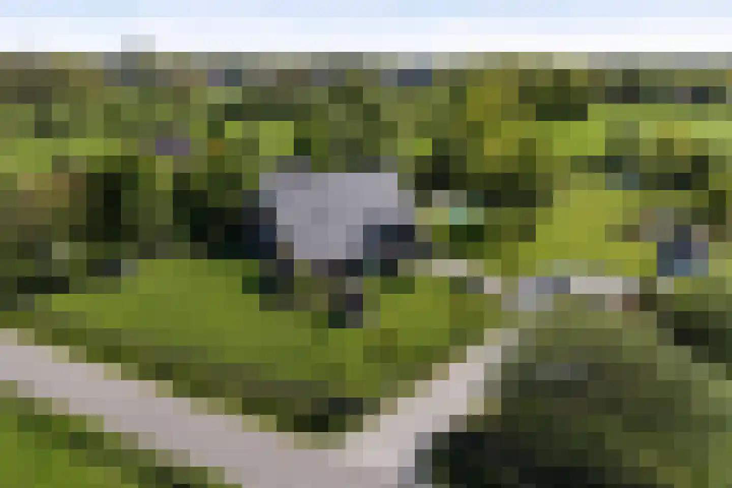 Schalmedenweg 17 Hengelo thumbnail 54